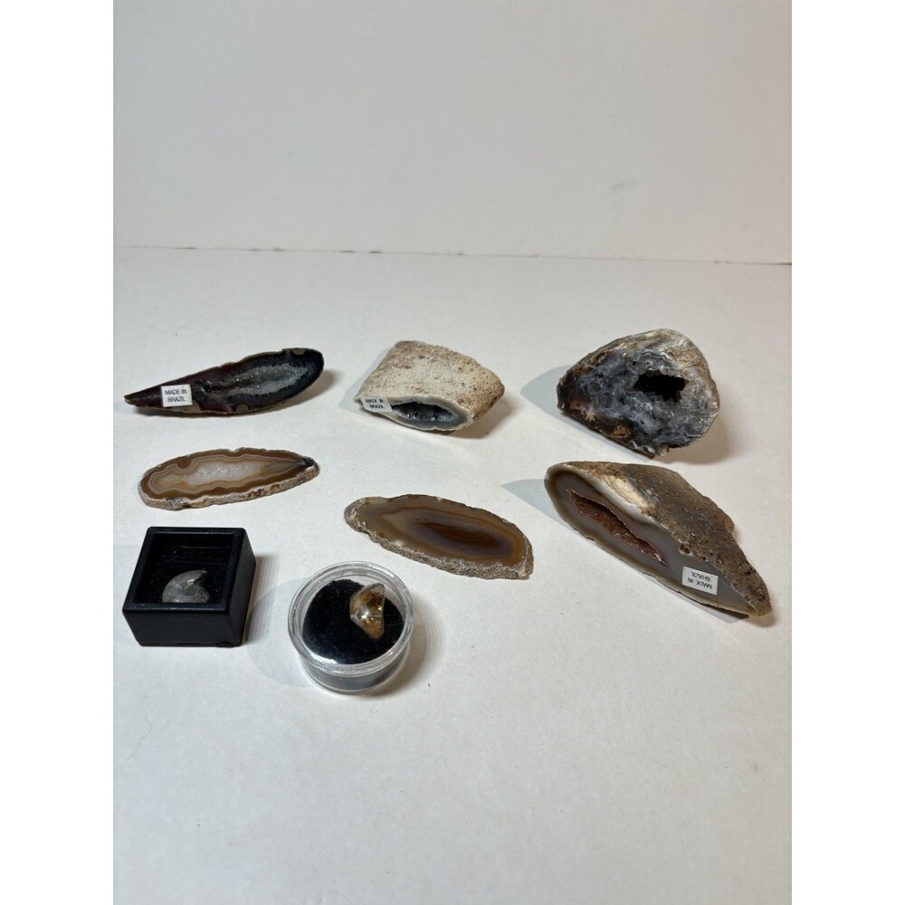 Seven Polished Minerals: Geodes and Fossil Specimen